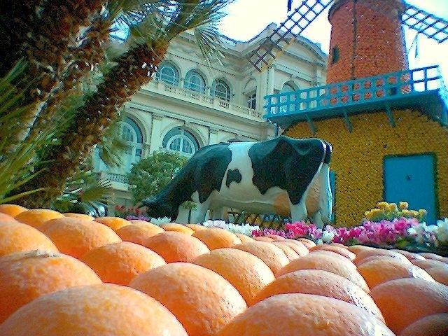 menton fete citron  8.jpg